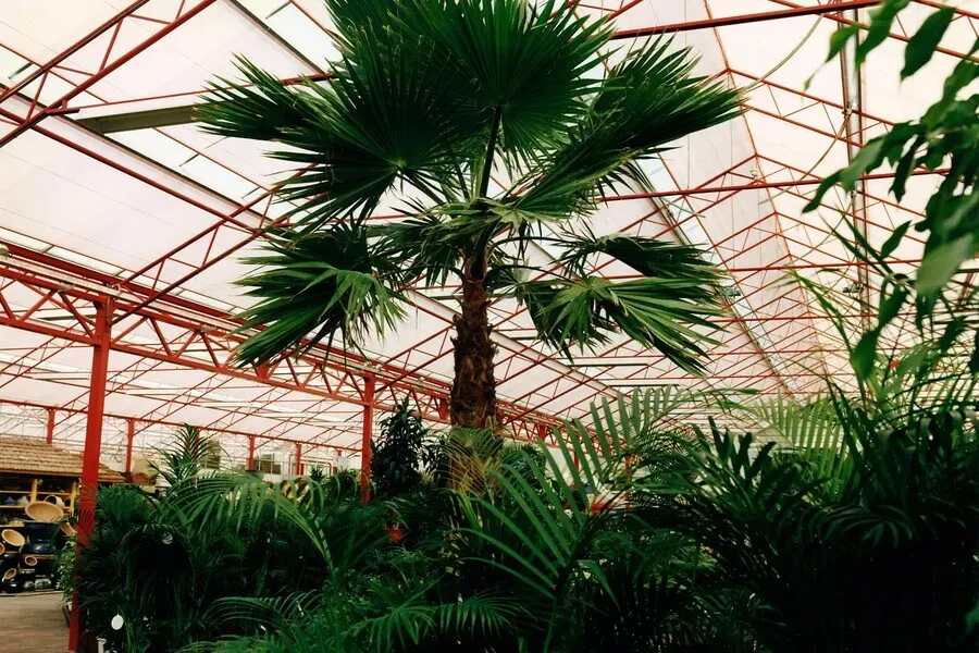 Verbouwing Intratuin, Heerhugowaard (Nederland) 1996 3