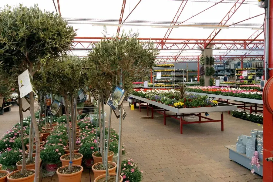 0396_03_-_intratuin_sliedrecht_2005.mcOGYuE.webp