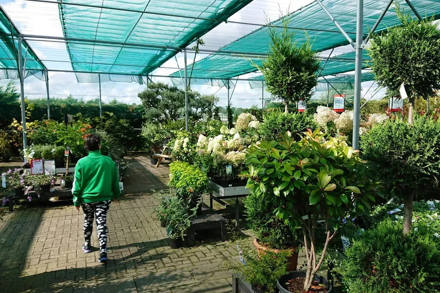 Reconstruire Intratuin, Hoorn (Pays-Bas) 2004 7