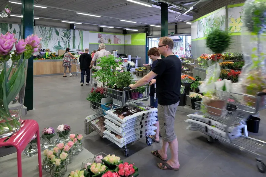 0770_17_-_intratuin_zevenhuizen_2012.TRvgE1X.webp