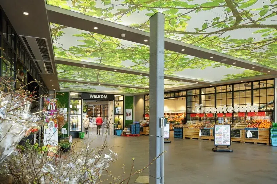 Nieuwbouw Intratuin, Deventer (Nederland) 2019 18