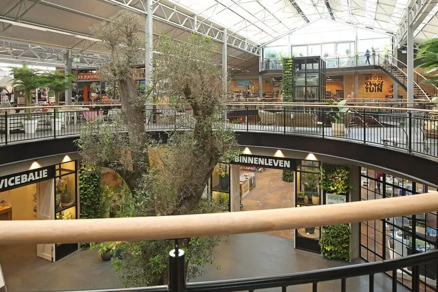 Nieuwbouw Intratuin, Deventer (Nederland) 2019 12