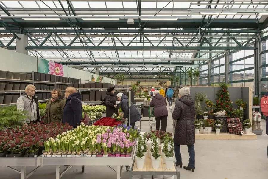 1286_16_-_hortes_tahesaju_tallinn_2019.sWxrhuY.webp