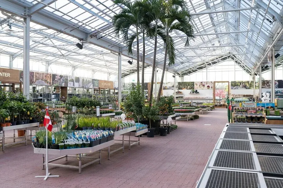 1367_04_-_plantorama_horsholm_2021.GCsEGOl.webp 1367_04_-_plantorama_horsholm_2021.GCsEGOl.webp