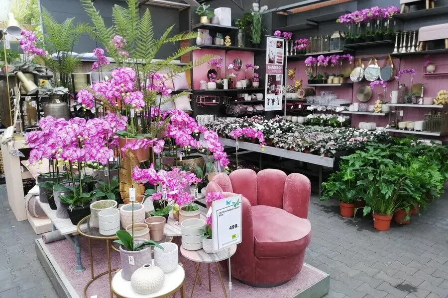 5_6.8D6l2cm.webp