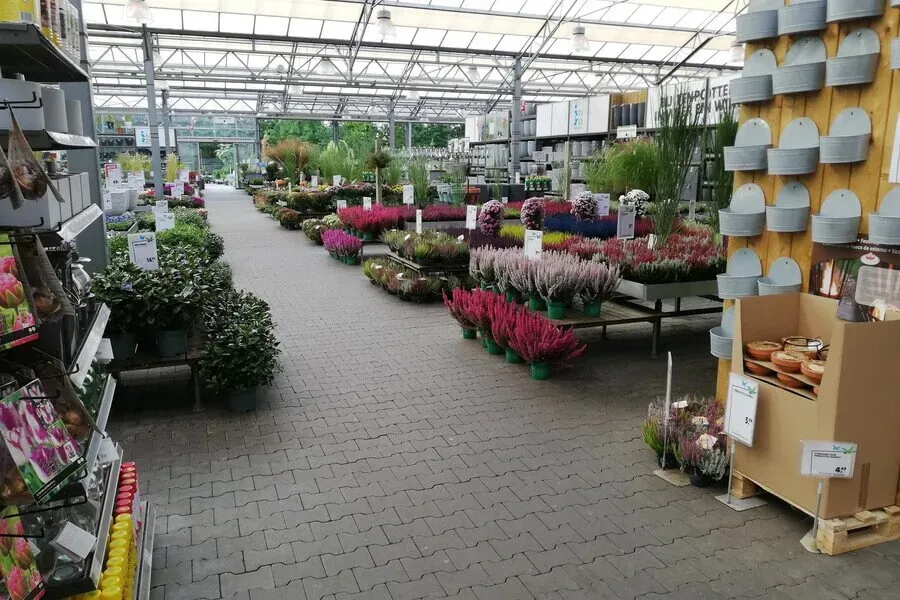 6_5.7Bz7F7L.webp