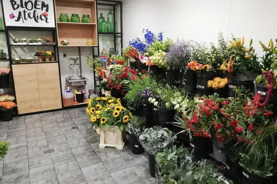 7_2.6AgbBap.webp