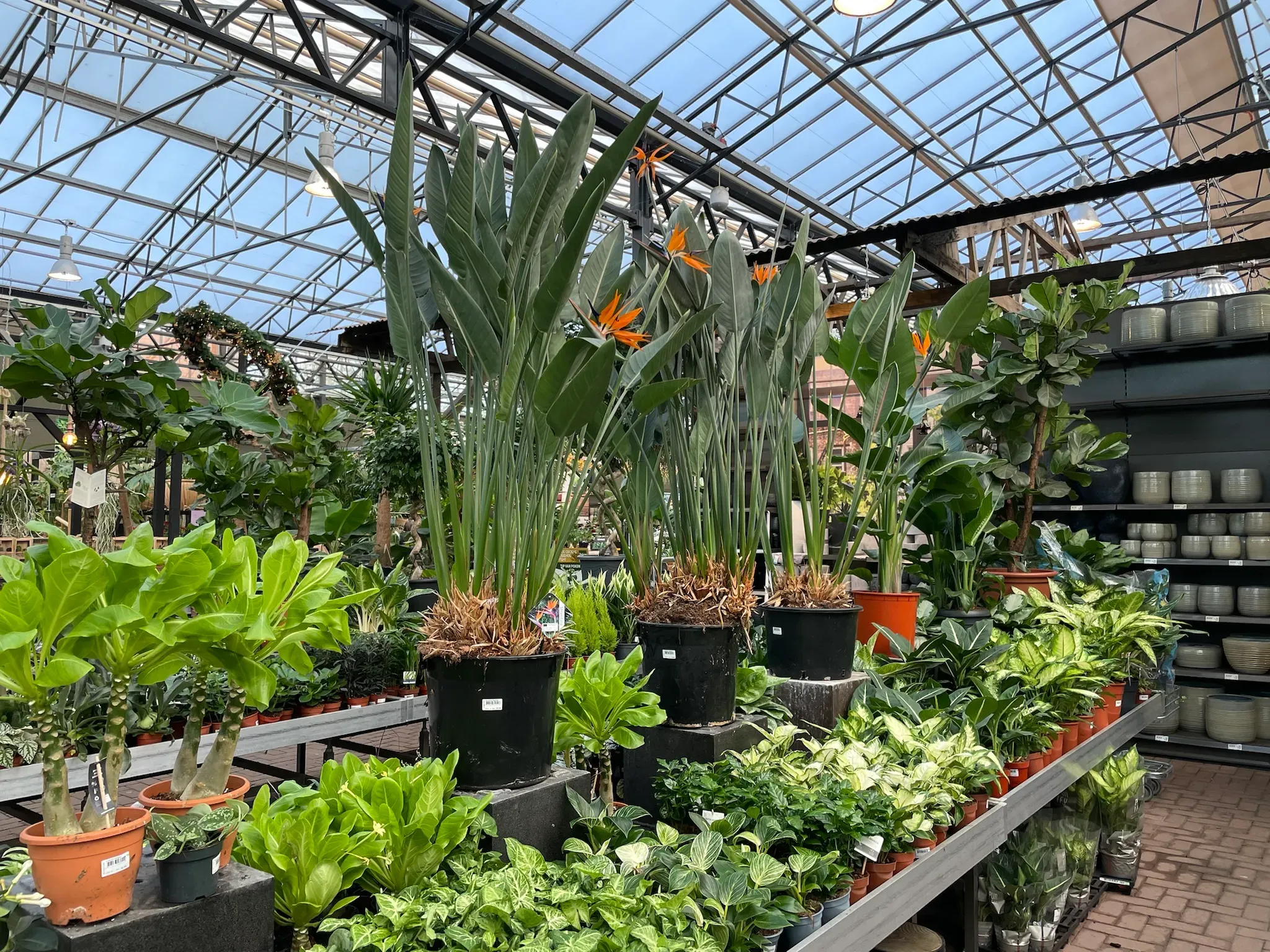 Ontwikkeling van moderne tuincentra | Duurzame en concurrerende strategieën 7 Ontwikkeling van moderne tuincentra | Duurzame en concurrerende strategieën 7
