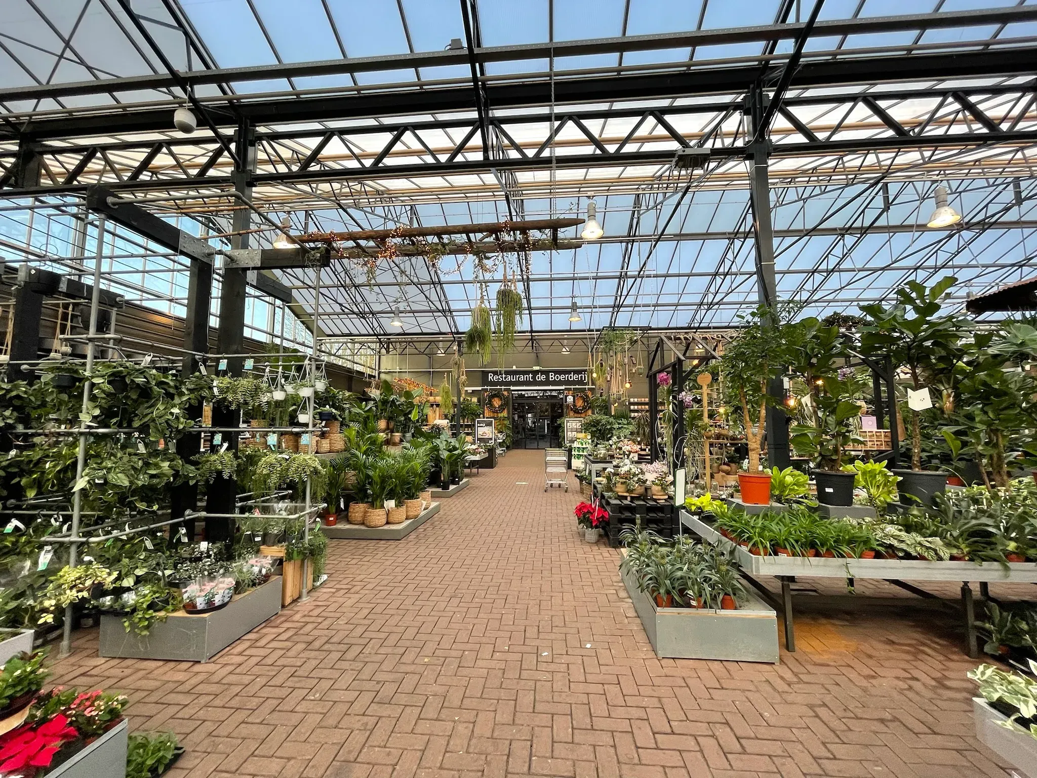 Ontwikkeling van moderne tuincentra | Duurzame en concurrerende strategieën 8 Ontwikkeling van moderne tuincentra | Duurzame en concurrerende strategieën 8