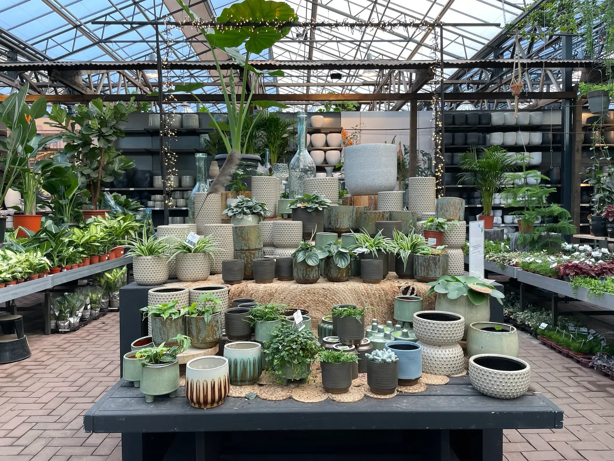Ontwikkeling van moderne tuincentra | Duurzame en concurrerende strategieën 10 Ontwikkeling van moderne tuincentra | Duurzame en concurrerende strategieën 10