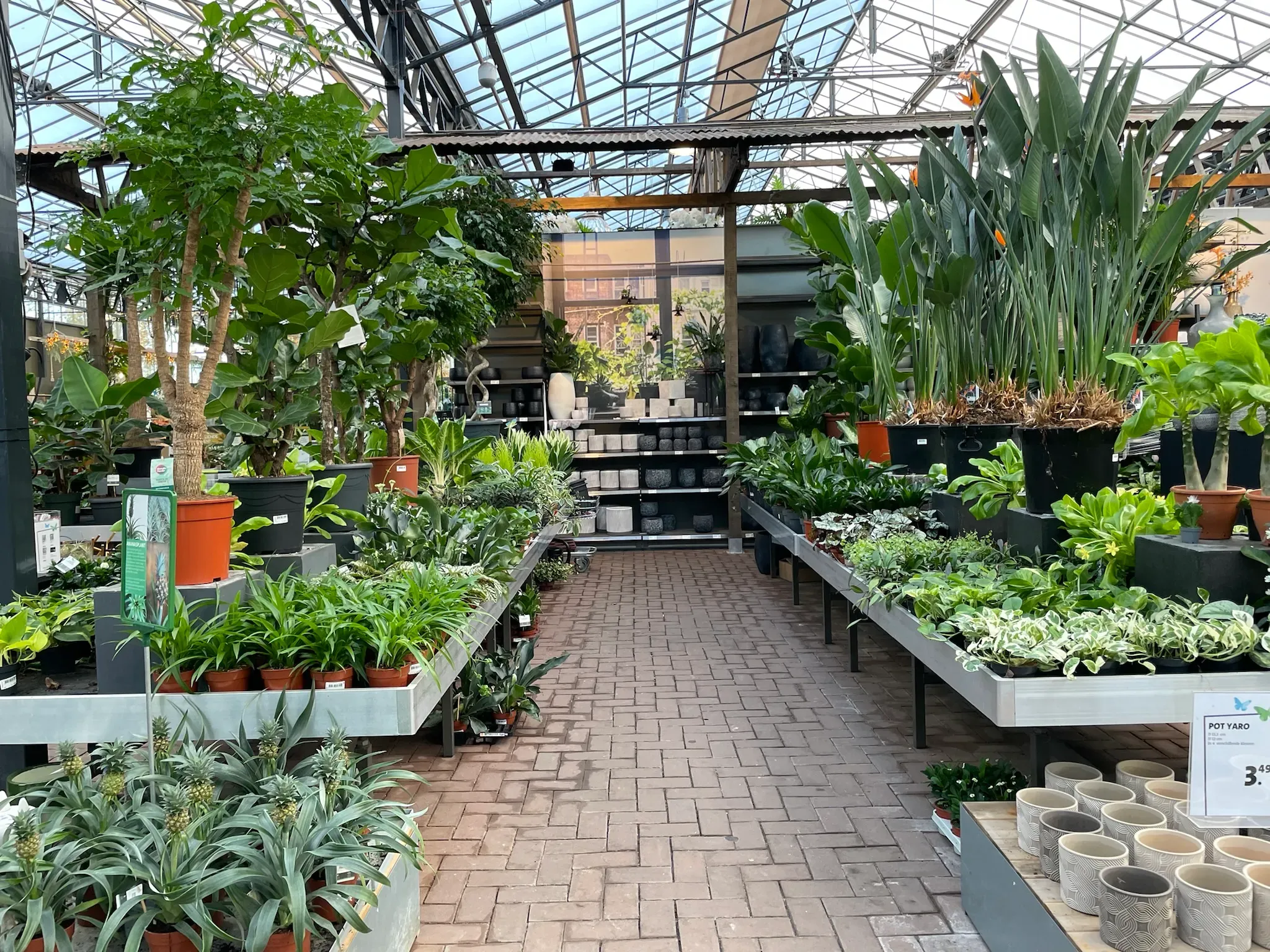 Ontwikkeling van moderne tuincentra | Duurzame en concurrerende strategieën 13 Ontwikkeling van moderne tuincentra | Duurzame en concurrerende strategieën 13