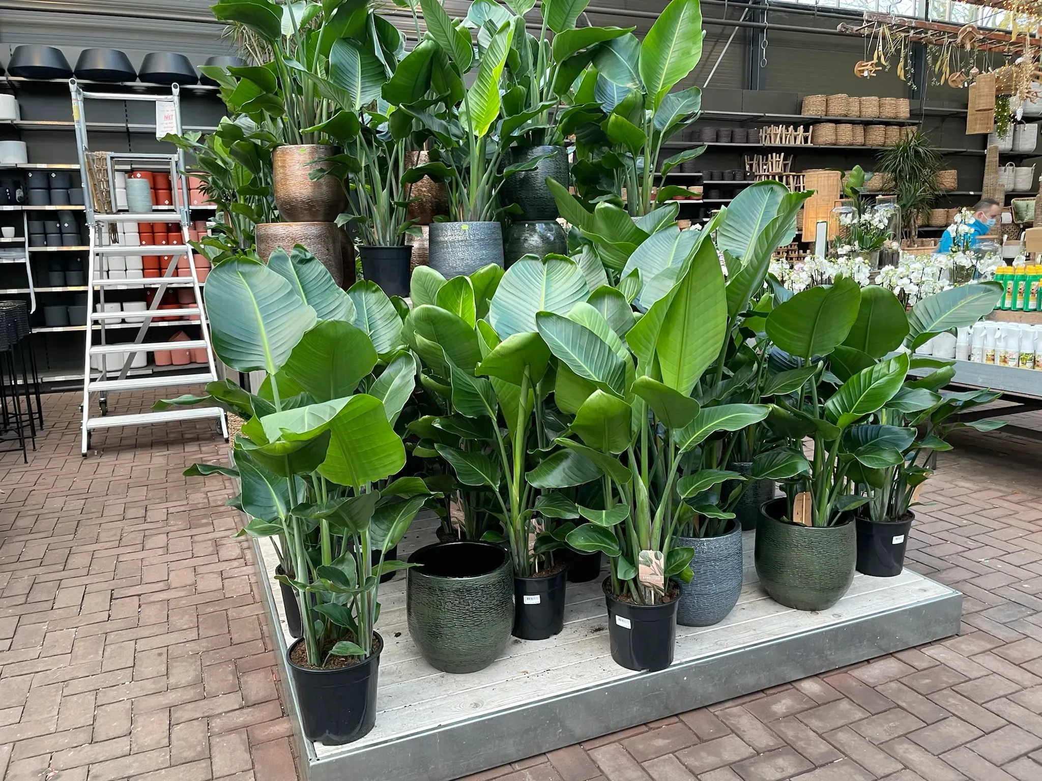 Ontwikkeling van moderne tuincentra | Duurzame en concurrerende strategieën 14 Ontwikkeling van moderne tuincentra | Duurzame en concurrerende strategieën 14