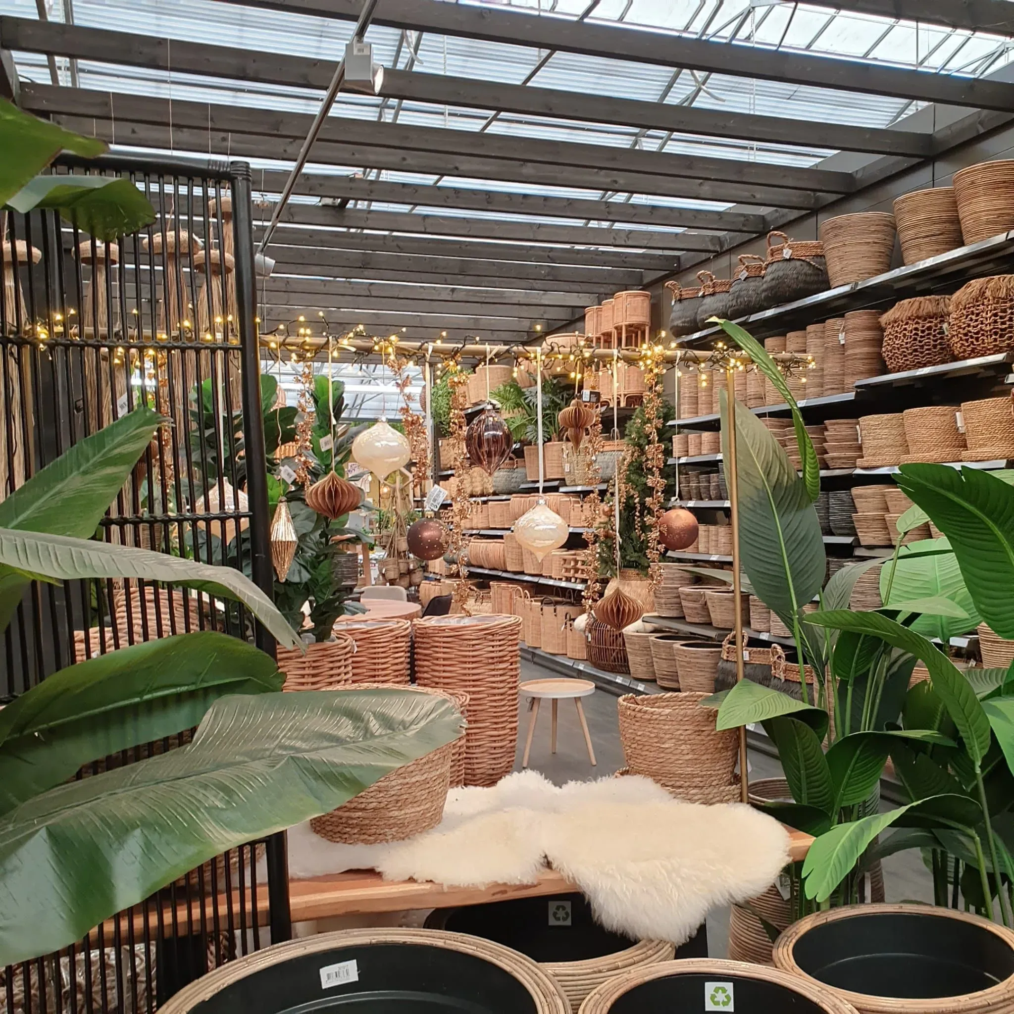 Ontwikkeling van tuincentra 29 Ontwikkeling van tuincentra 29