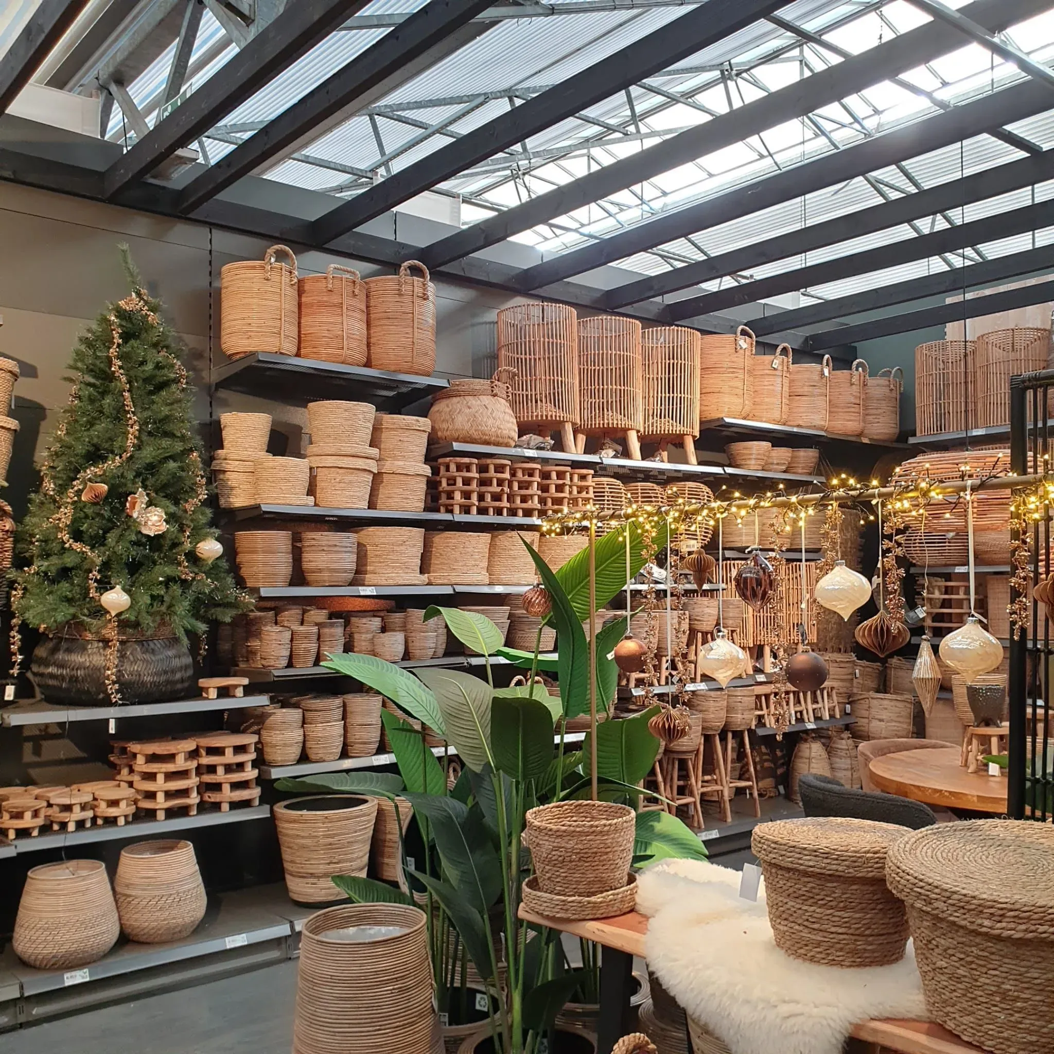 Ontwikkeling van moderne tuincentra | Duurzame en concurrerende strategieën 5 Ontwikkeling van moderne tuincentra | Duurzame en concurrerende strategieën 5