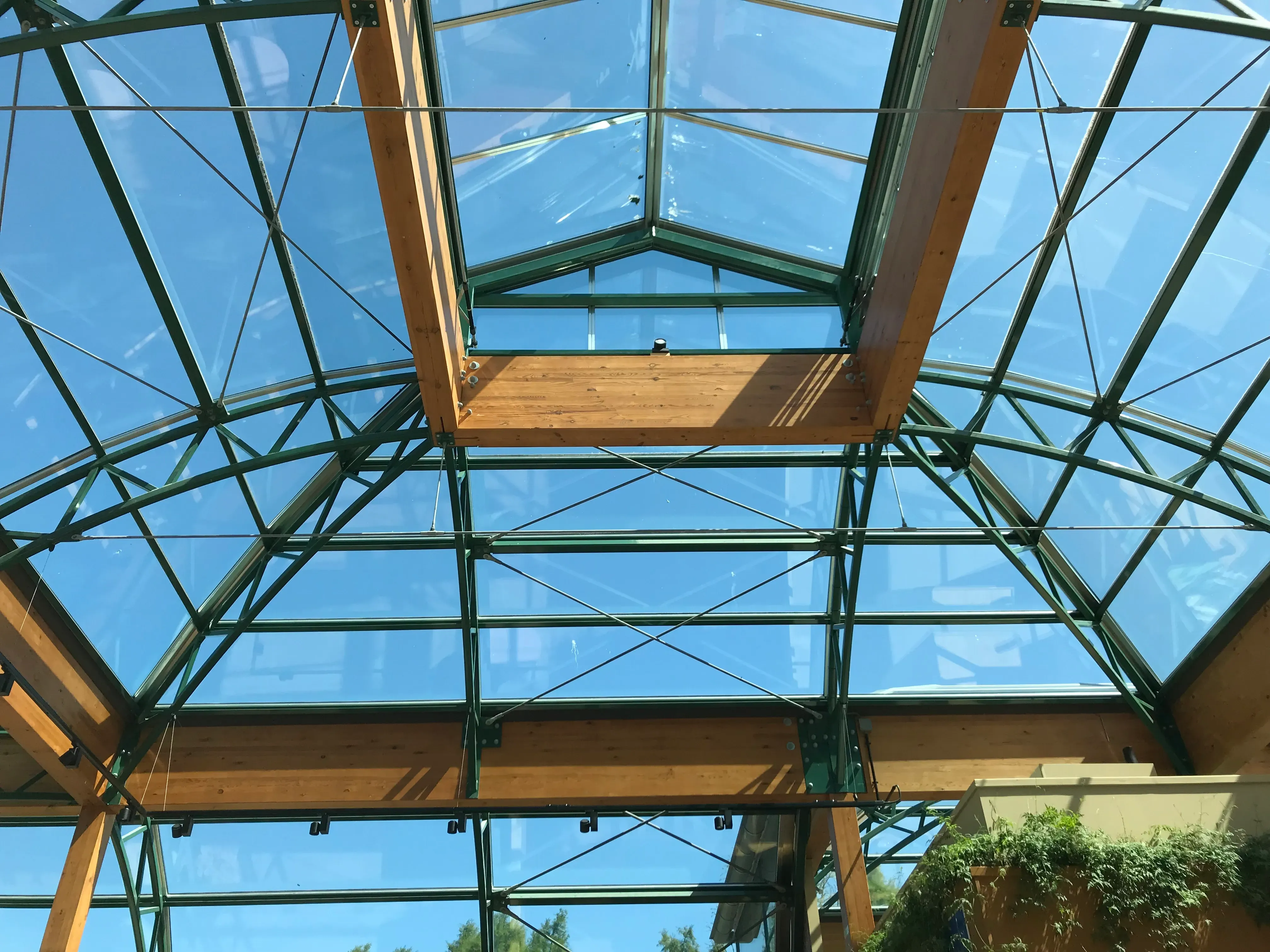 Ontwikkeling van tuincentra 20 Ontwikkeling van tuincentra 20