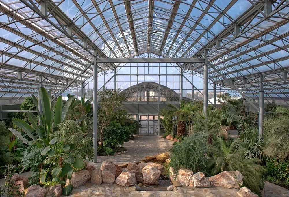 Ontwikkeling van tuincentra 14 Ontwikkeling van tuincentra 14