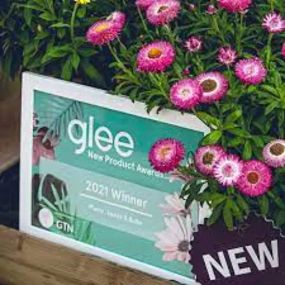 GLEE Birmingham (GB) 2 GLEE Birmingham (GB) 2