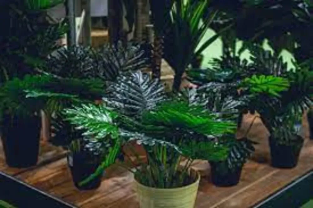 GLEE Birmingham (GB)