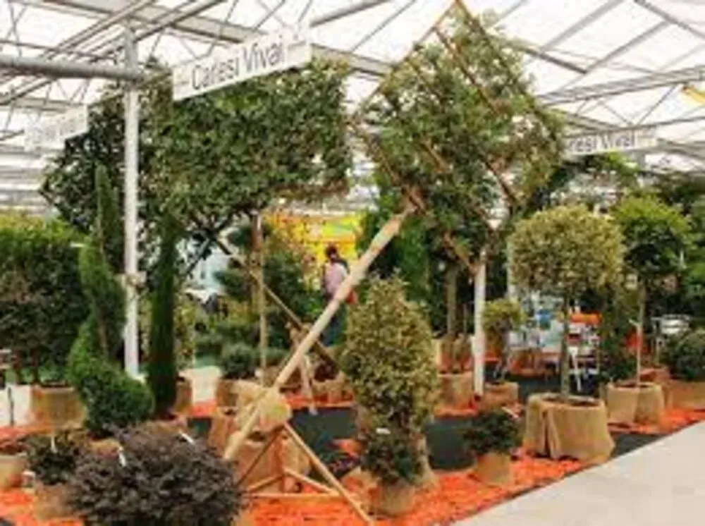 Four Oaks Trade Show, Cheshire (GB)