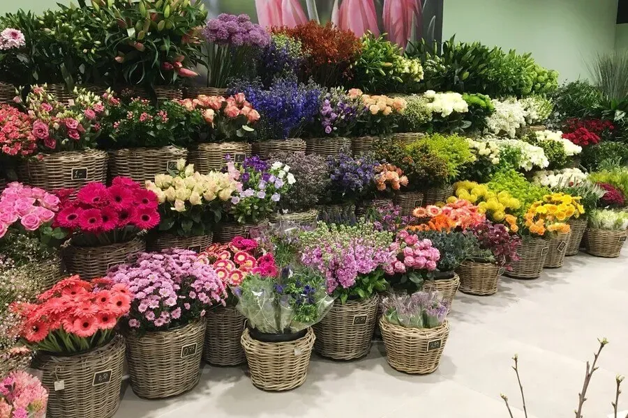 Tuincentrum Assortiment 4