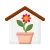 Bloeiende kamerplanten