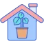 Kamerplanten