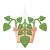 Groene kamerplanten