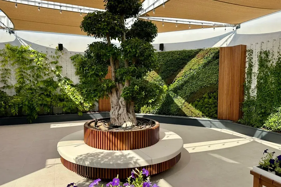 Gartencenter Acacia Dubai (Dubai) 2023 7 Gartencenter Acacia Dubai (Dubai) 2023 7