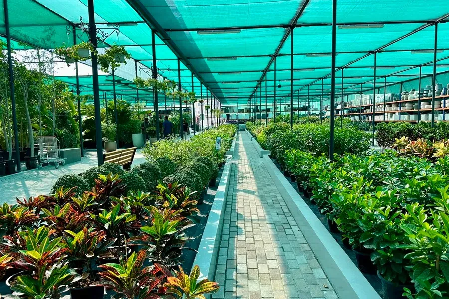 Gartencenter Acacia Dubai (Dubai) 2023 6 Gartencenter Acacia Dubai (Dubai) 2023 6