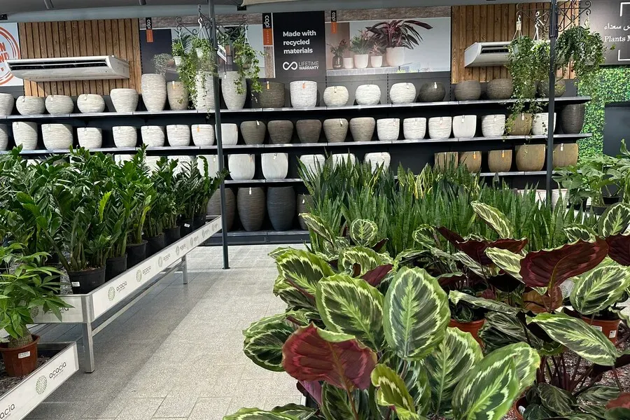Gartencenter Acacia Dubai (Dubai) 2023 36 Gartencenter Acacia Dubai (Dubai) 2023 36