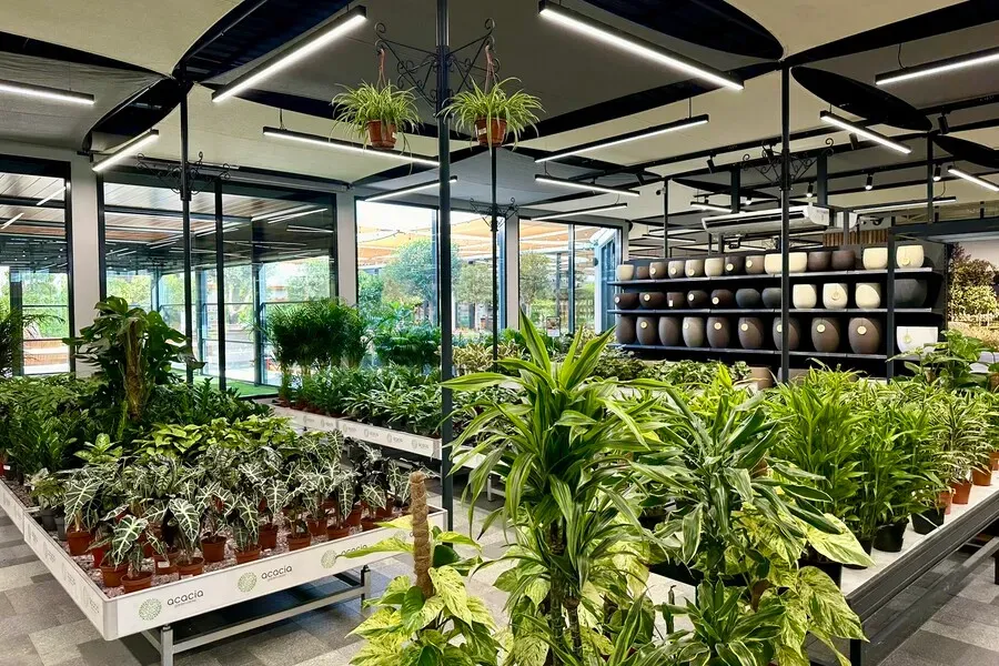 Gartencenter Acacia Dubai (Dubai) 2023 27 Gartencenter Acacia Dubai (Dubai) 2023 27