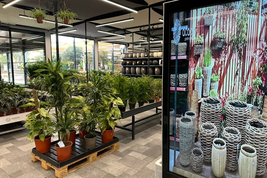 Gartencenter Acacia Dubai (Dubai) 2023 38 Gartencenter Acacia Dubai (Dubai) 2023 38