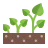 Tuin ontwerp