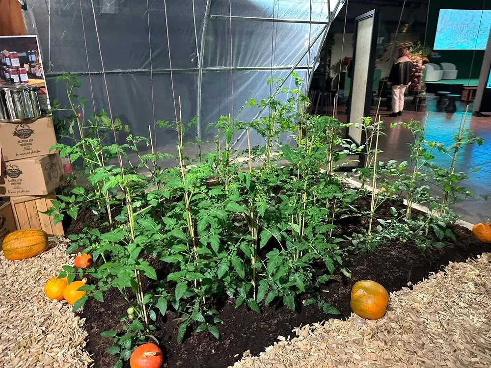 Erfolgreiche Teilnahme von Garden Centre Advice an der Elmia 2025 7