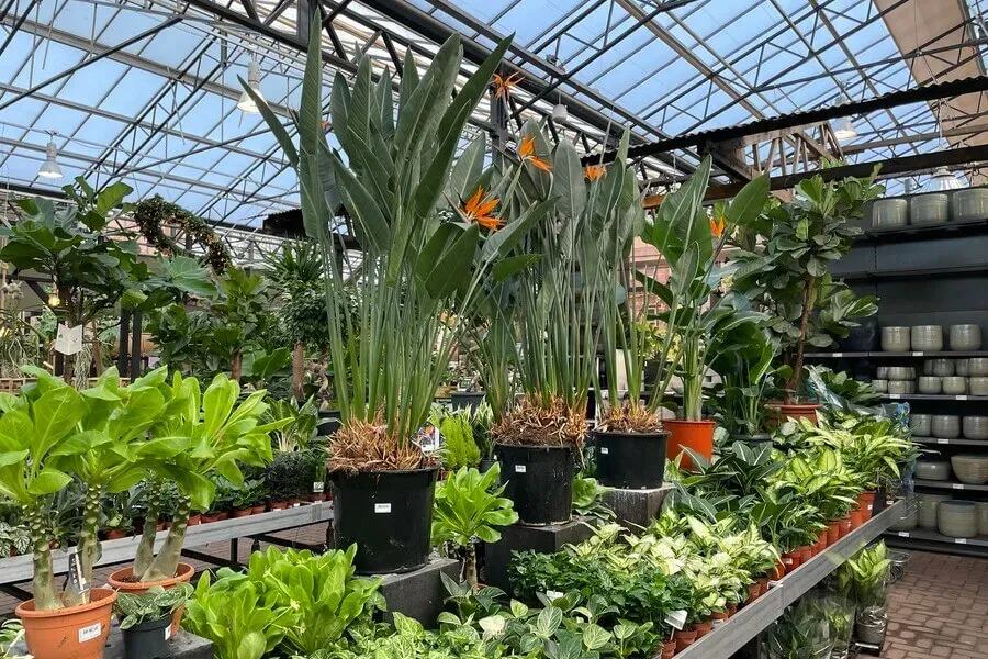 Tuincentrum Assortiment 33