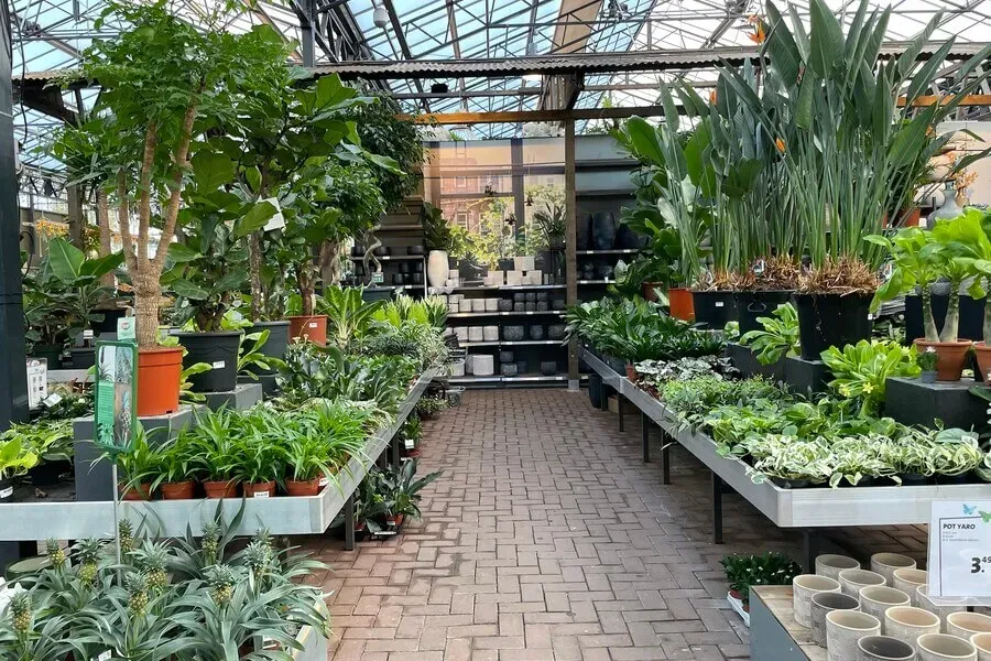 Tuincentrum Assortiment 30