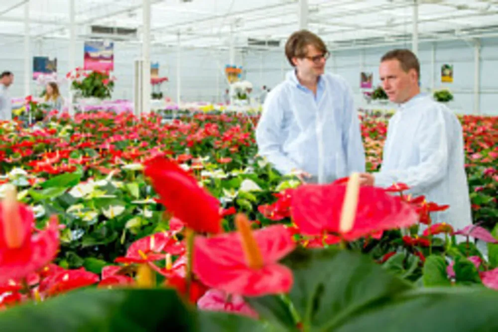Flower Trials 2022 3