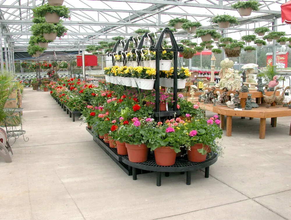 plant-hanger-plus-pyramid-live-goods_parking-lot-live-goods.EkNEgg7.webp