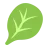 Eenjarige planten