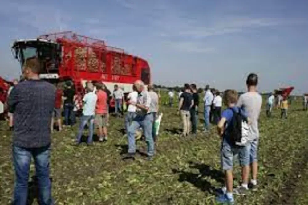 unknown-1_1.iOFHQgR.webp unknown-1_1.iOFHQgR.webp